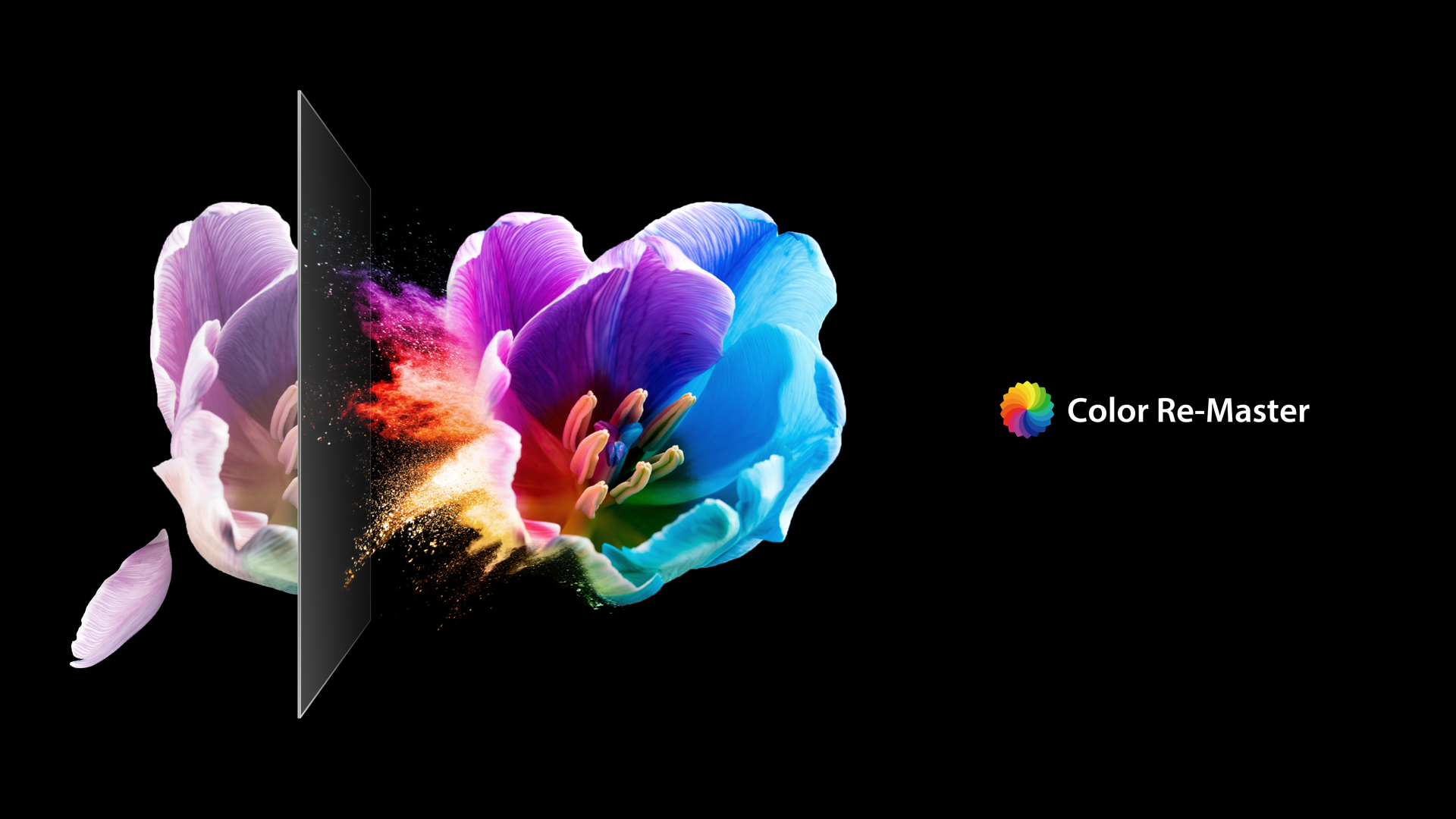 Imagem ilustrativa do recurso de Color Re-Master